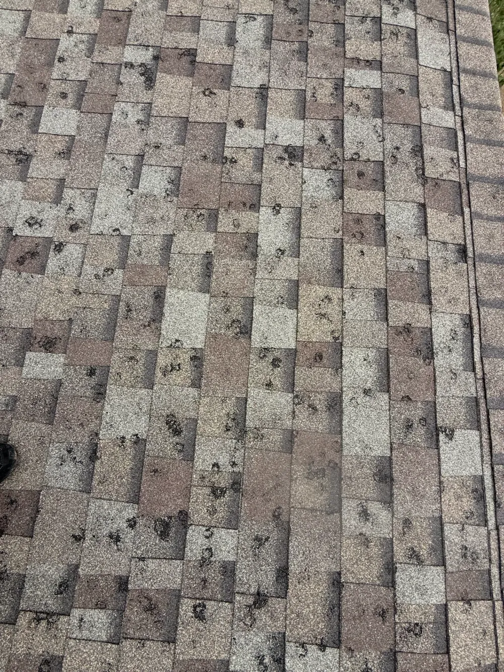 Close-up of asphalt shingles showing scattered dark impact marks and granule displacement.