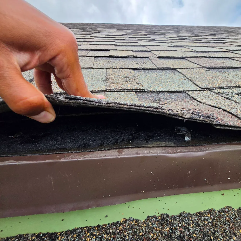 A hand lifts the edge of a roof shingle to expose the black underlayment beneath, near the roof edge and gutter.