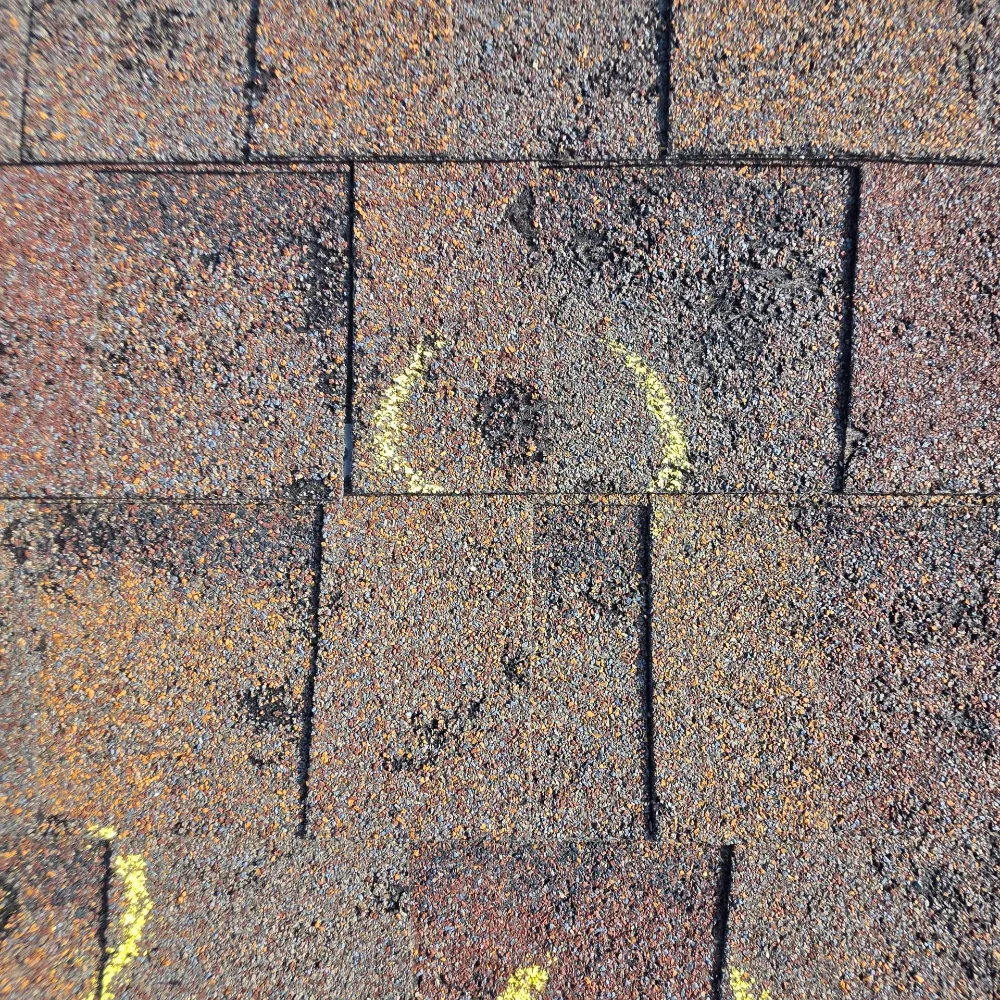 What a Complimentary Inspection Covers